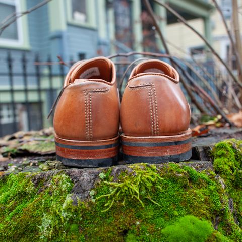 Viberg Bastion Oxford