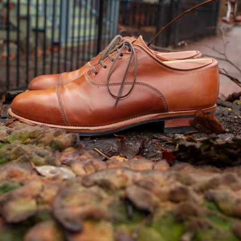 Viberg Bastion Oxford