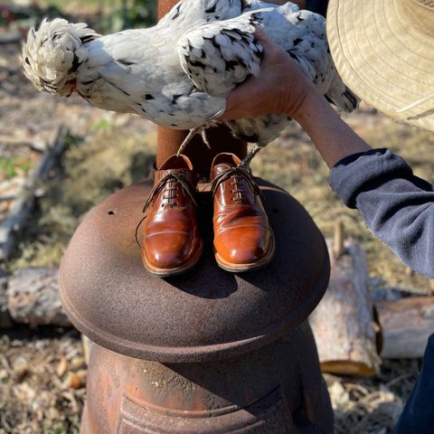 Viberg Bastion Oxford