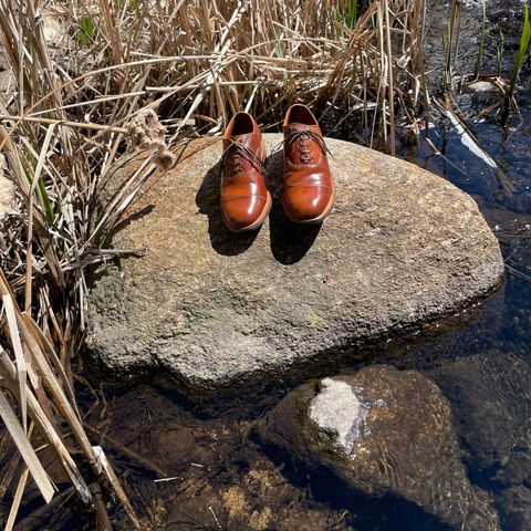 Viberg Bastion Oxford