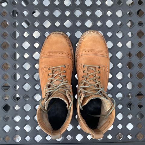 Wesco Hendrik