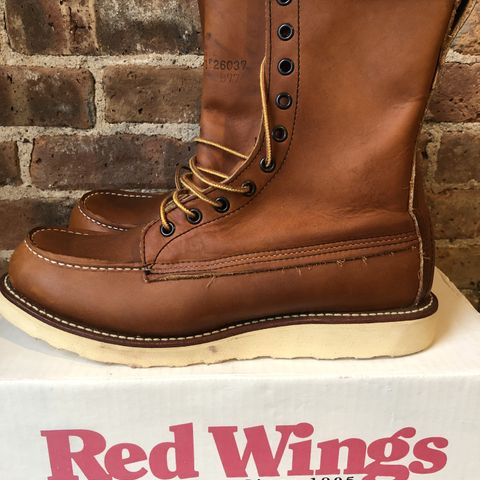 Search result thumbnail of Red Wing 8-Inch Classic Moc in S.B. Foot Oro-Iginal