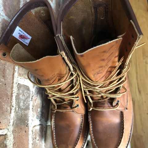 Red Wing 8-Inch Classic Moc