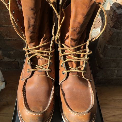 Red Wing 8-Inch Classic Moc