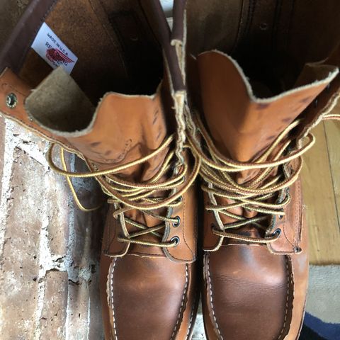 Red Wing 8-Inch Classic Moc