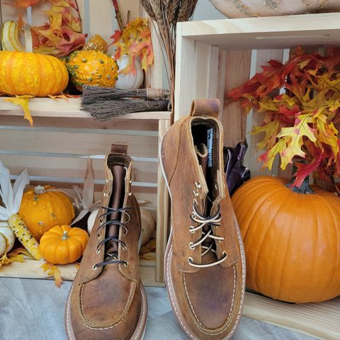 Truman Moc Toe