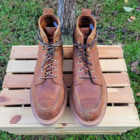 Truman Moc Toe