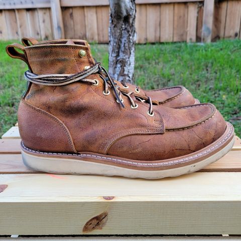 Truman Moc Toe