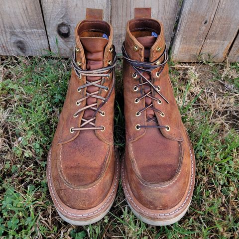 Truman Moc Toe