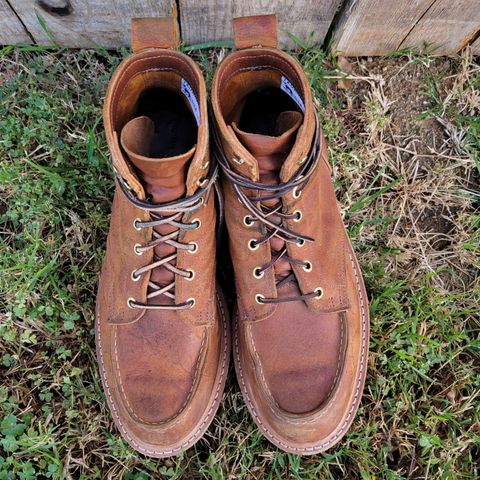Search result thumbnail of Truman Moc Toe in C.F. Stead Coach Rambler