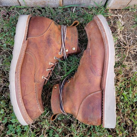 Truman Moc Toe