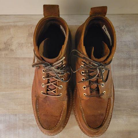 Truman Moc Toe