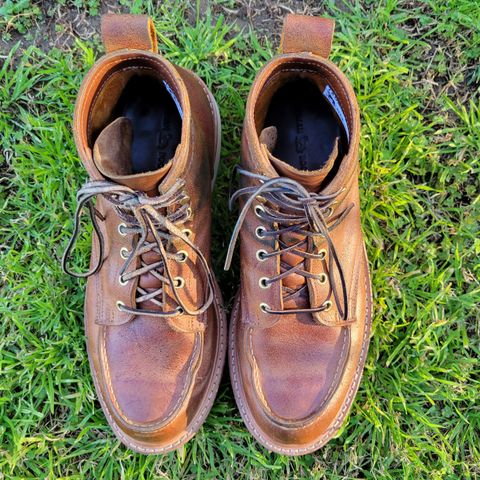 Truman Moc Toe