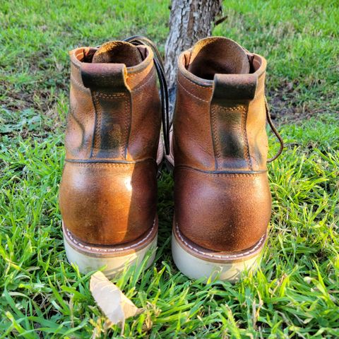 Truman Moc Toe