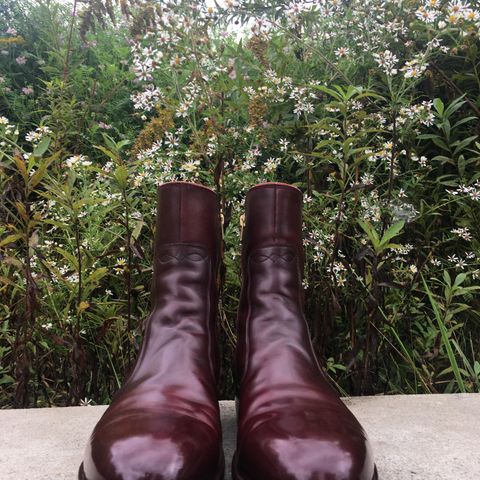 Hark Weber Zip Boot