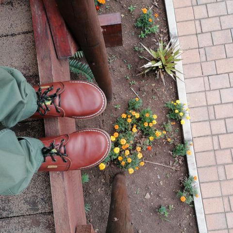 Jim Green Vellie