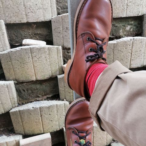 Jim Green Vellie