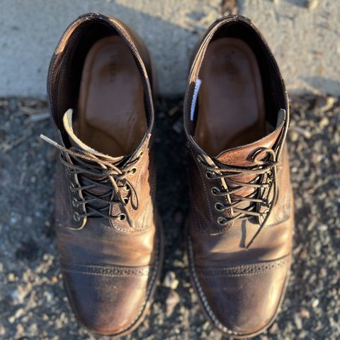Viberg 145 Oxford