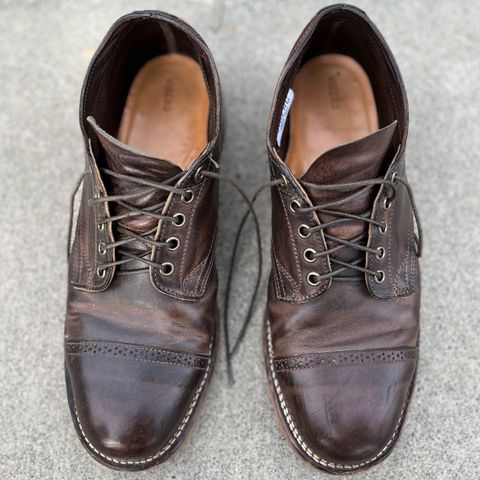 Viberg 145 Oxford