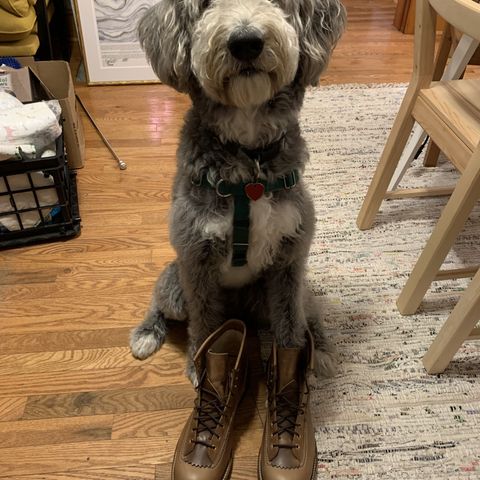 Search result thumbnail of John Lofgren Donkey Puncher Boots in Horween Natural Bison