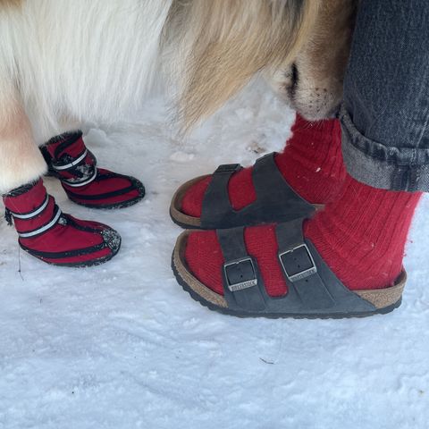 View photo of Birkenstock Arizona in Black Oiled Leather