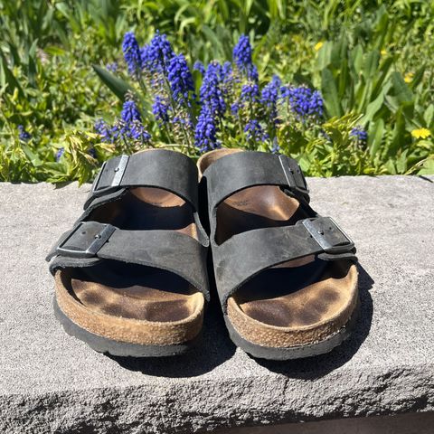 Search result thumbnail of Birkenstock Arizona in Black Oiled Leather