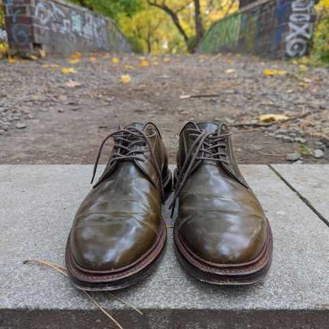 Grant Stone Plain Toe Blucher