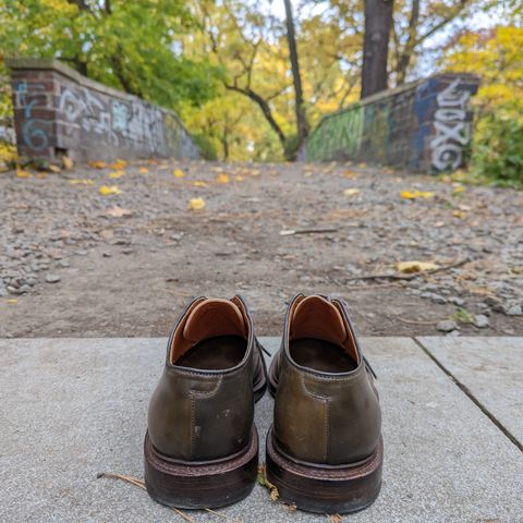 Grant Stone Plain Toe Blucher