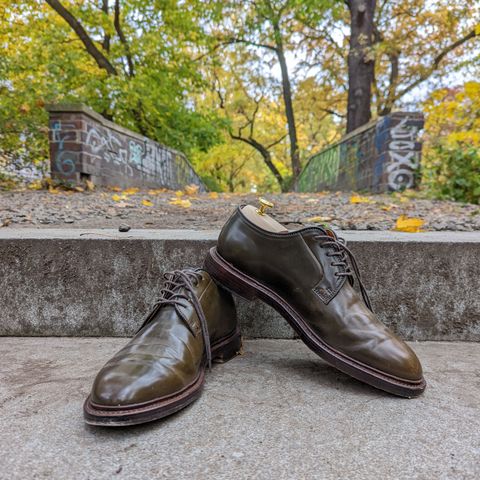 Grant Stone Plain Toe Blucher