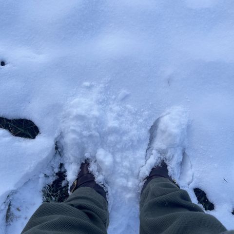Viberg Engineer
