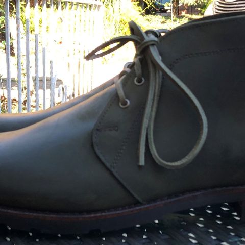 Allen Edmonds Venture Chukka