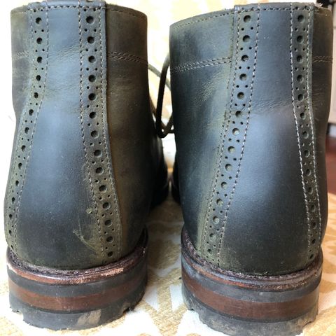 Allen Edmonds Venture Chukka