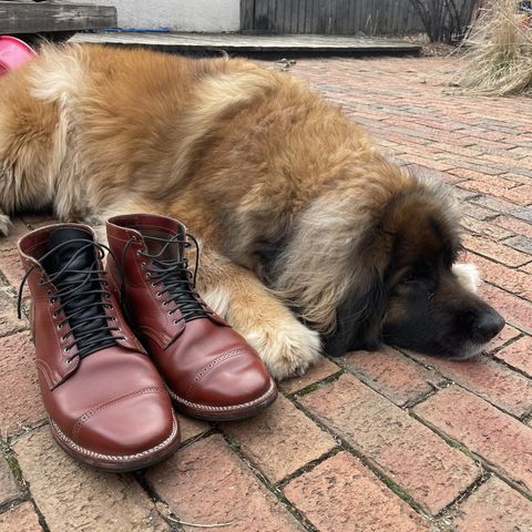 Viberg Service Boot