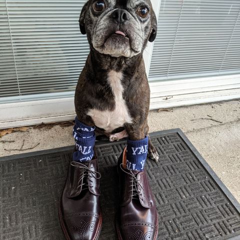 Alden Atom Blucher