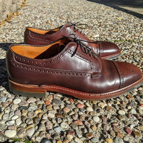 Alden Atom Blucher