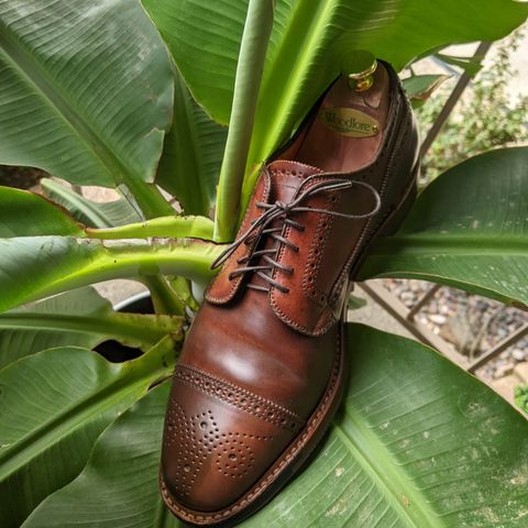 Alden Atom Blucher
