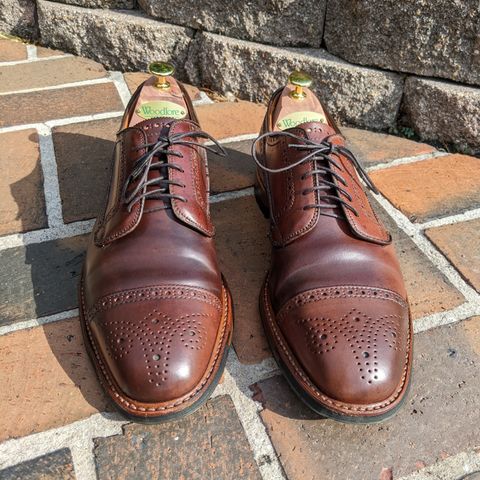 Search result thumbnail of Alden Atom Blucher in Horween Color 8 Shell Cordovan