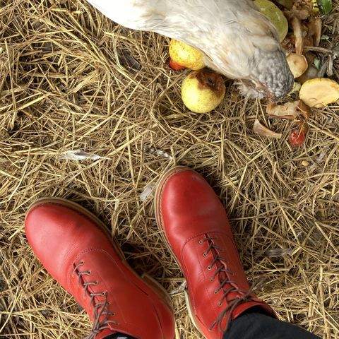 Maya Miel Balmoral Boot