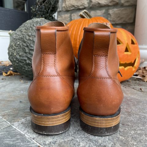 White Kloud Blucher.87