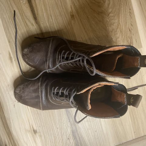 Tredstep Donatello Paddock Boots Front Lace