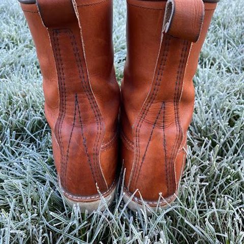 Red Wing 8-Inch Classic Moc