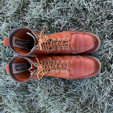 Red Wing 8-Inch Classic Moc