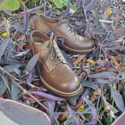 The Flat Head Oxford Shoe