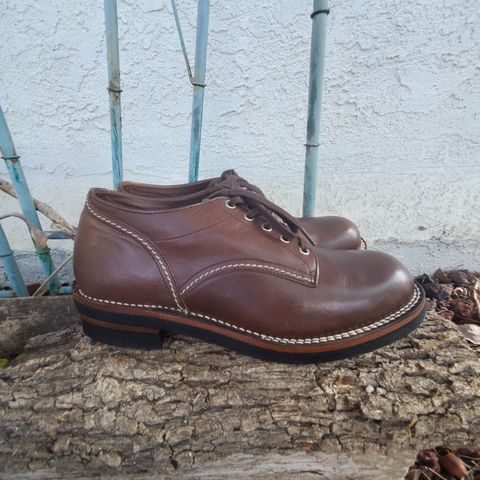 The Flat Head Oxford Shoe