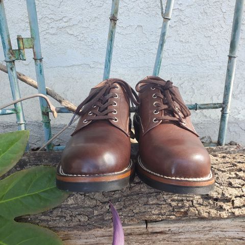 The Flat Head Oxford Shoe