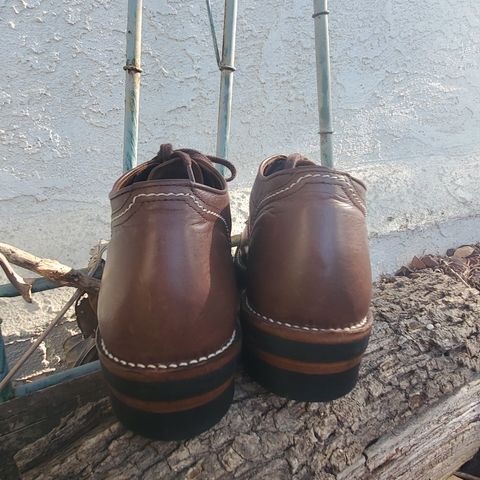 The Flat Head Oxford Shoe