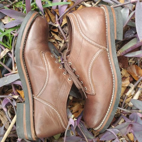 The Flat Head Oxford Shoe