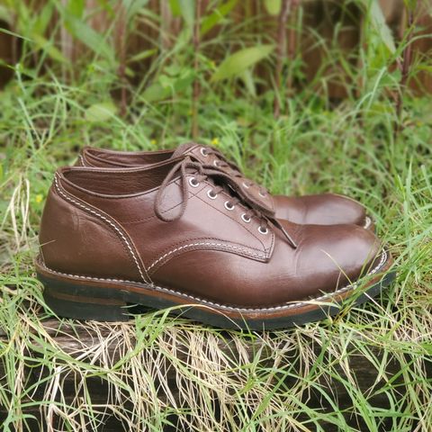 The Flat Head Oxford Shoe
