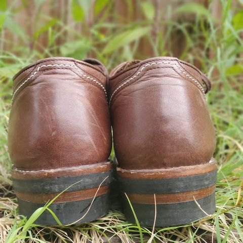 The Flat Head Oxford Shoe
