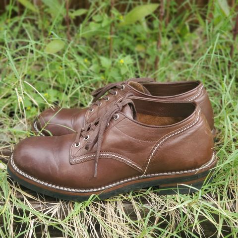 The Flat Head Oxford Shoe